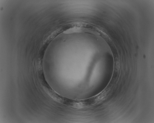 X0000068760411200605011006