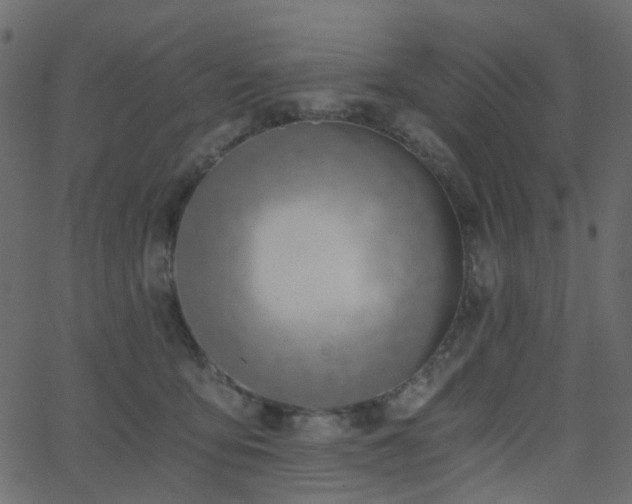 X0000068760419200605011006