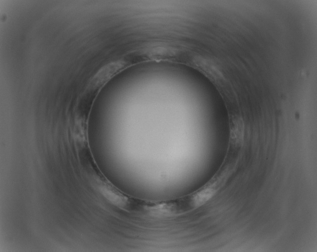 X0000068760430200605011006