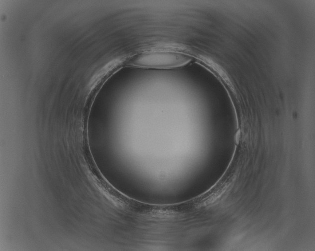 X0000068760437200605011005
