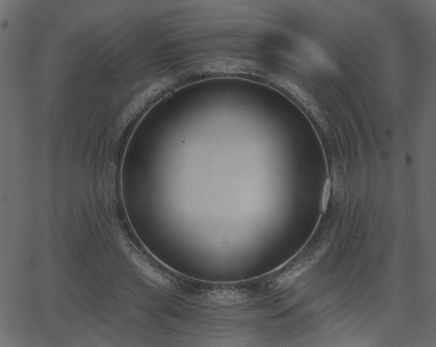 X0000068760445200605011006