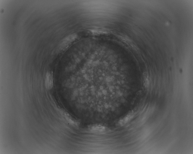X0000068760471200605011006