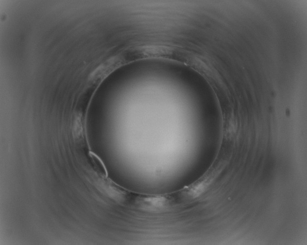 X0000068760478200605011006