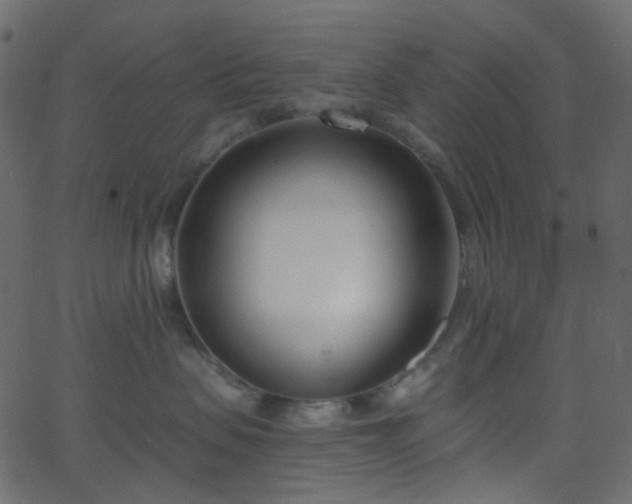 X0000068760479200605011006