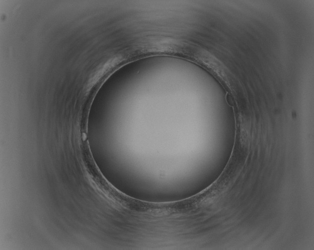 X0000068760482200605011005