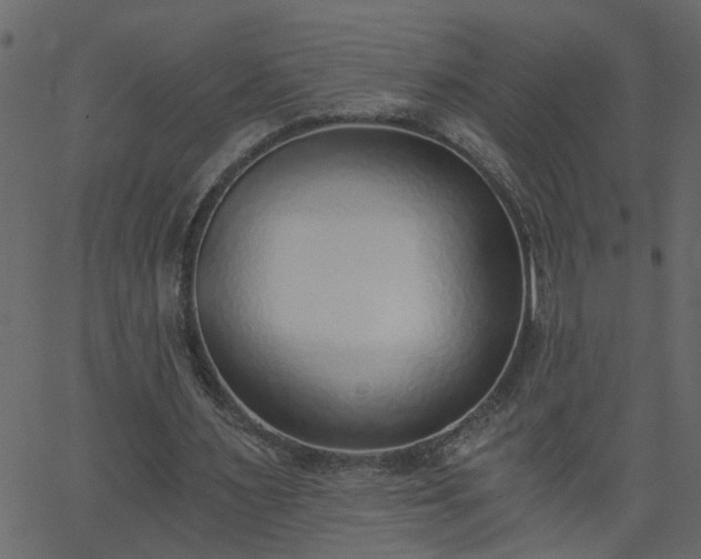X0000068760483200605011005
