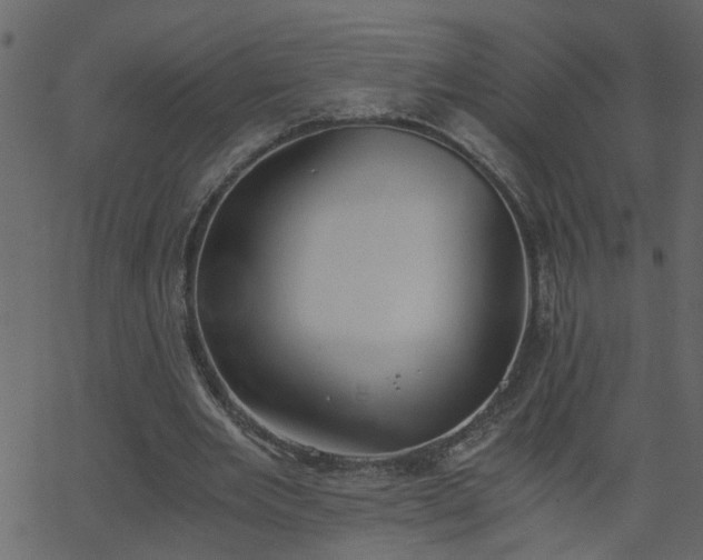 X0000068760485200605011005
