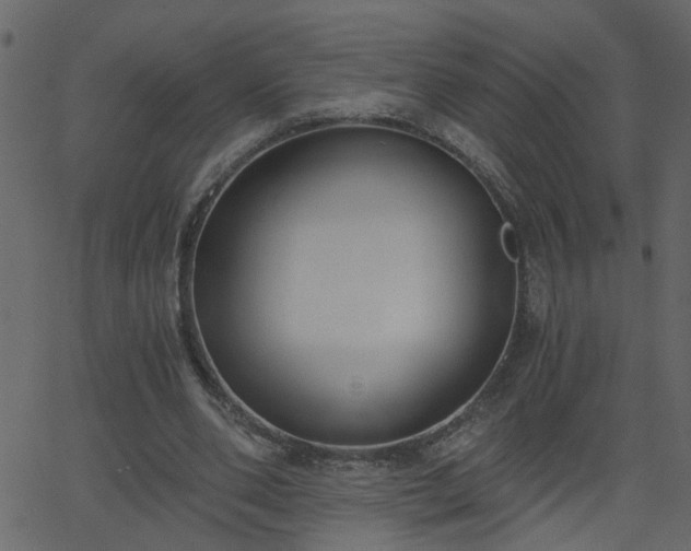 X0000068760486200605011005