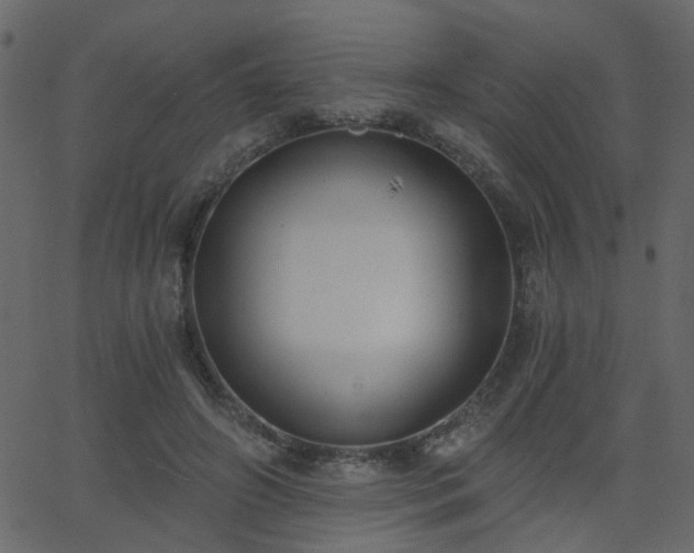 X0000068760498200605011005