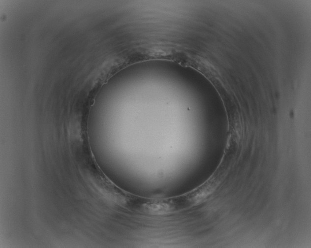 X0000068760512200605011005