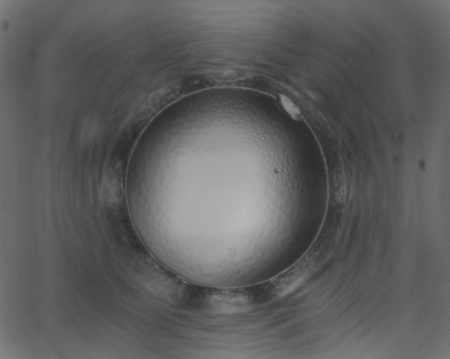 X0000068760515200605011005