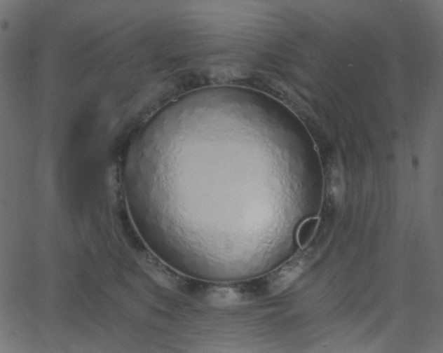 X0000068760519200605011005