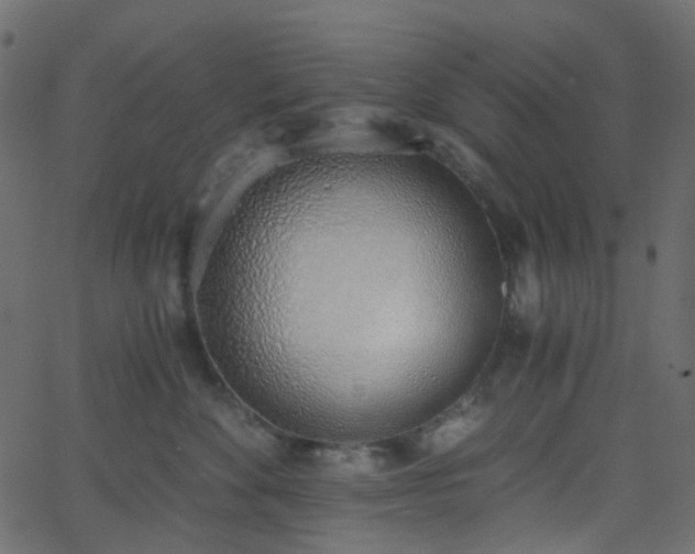 X0000068760524200605011005