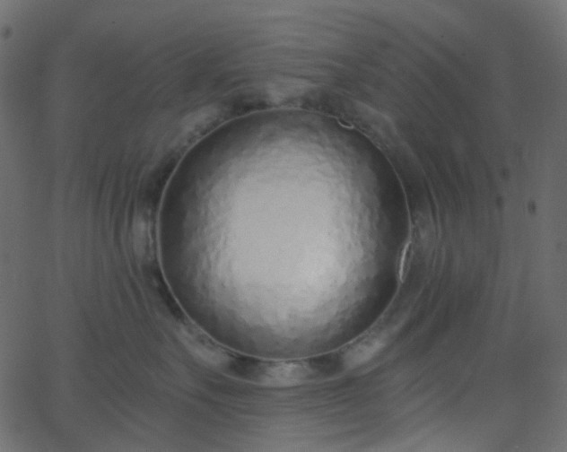 X0000068760527200605011005