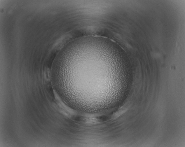 X0000068760528200605011005