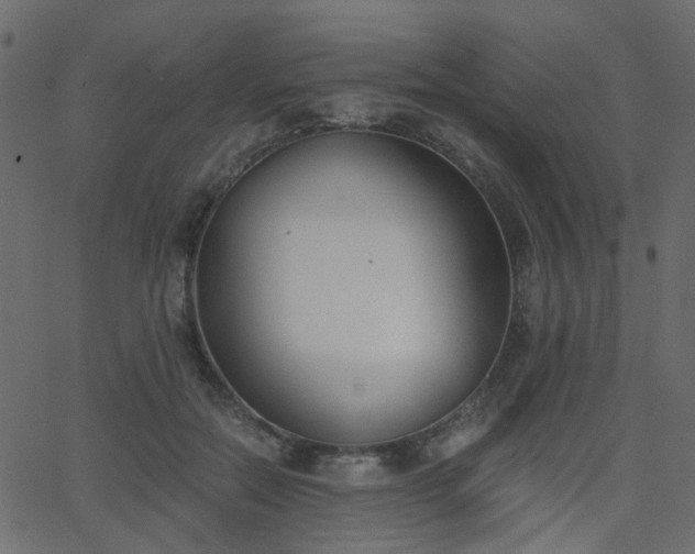 X0000068760554200605011004