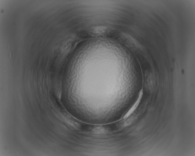 X0000068760562200605011004