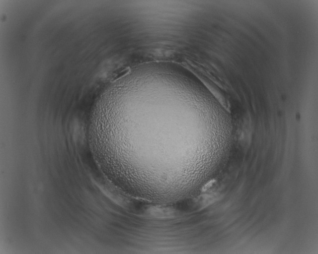 X0000068760568200605011004