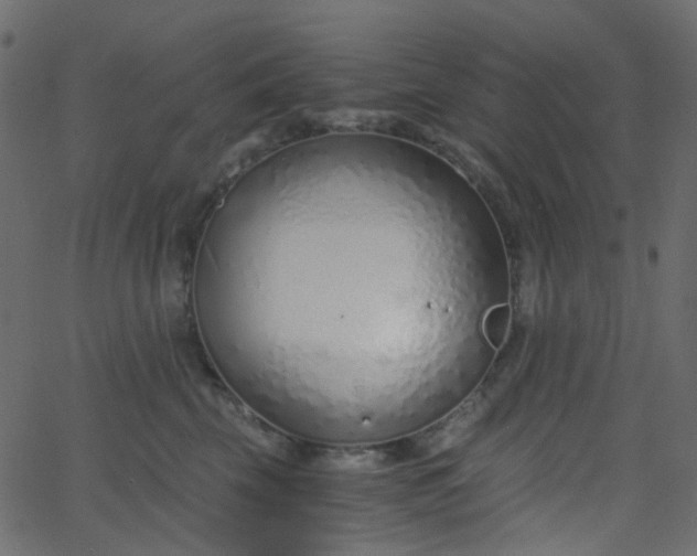X0000068760569200605011004