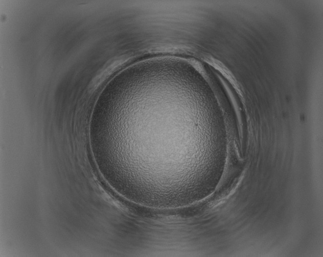 X0000068760577200605011004