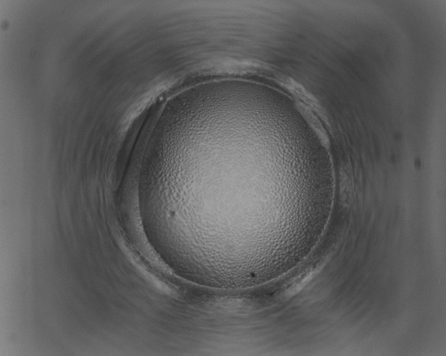 X0000068760581200605011004