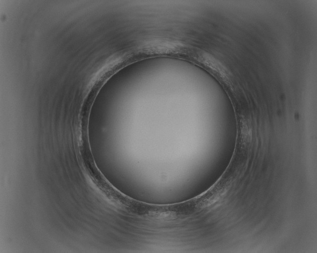 X0000068760582200605011004