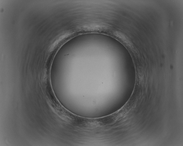 X0000068760583200605011004