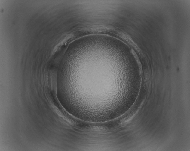 X0000068760585200605011004