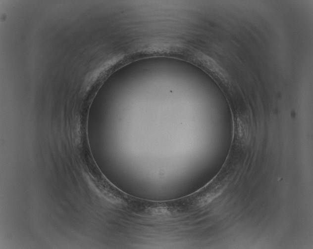 X0000068760588200605011004