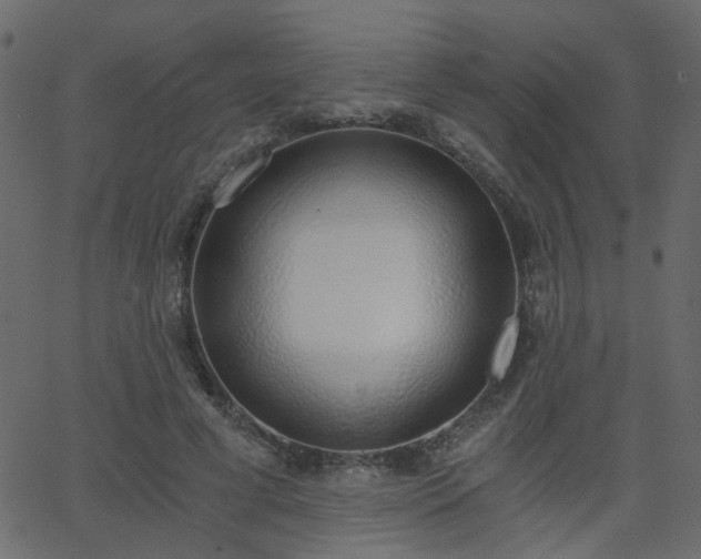 X0000068760593200605011004
