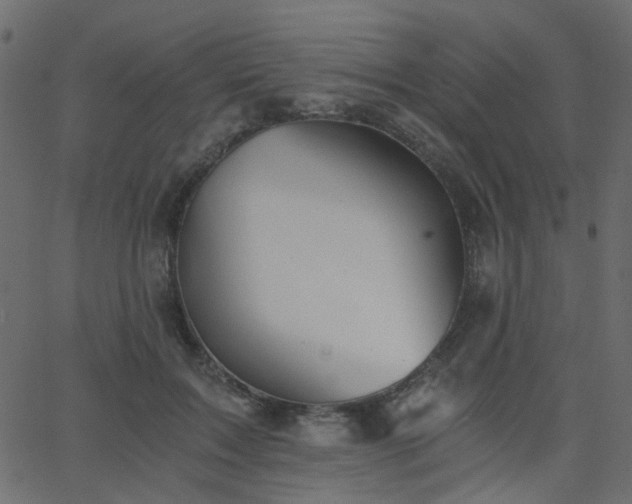 X0000068760603200605011003