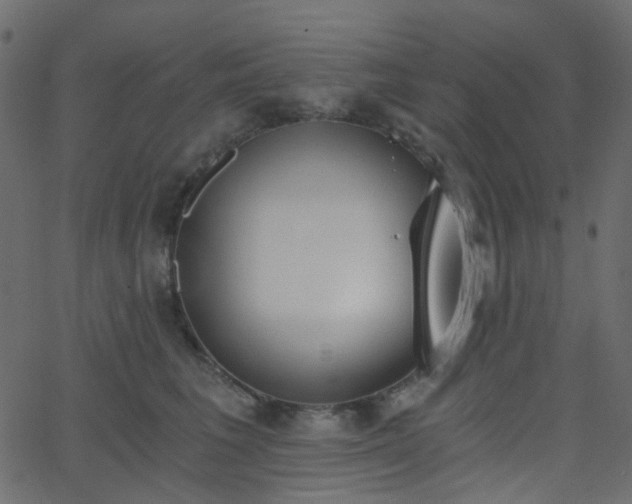 X0000068760613200605011003