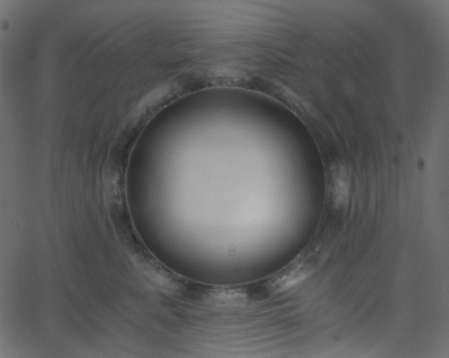 X0000068760619200605011003