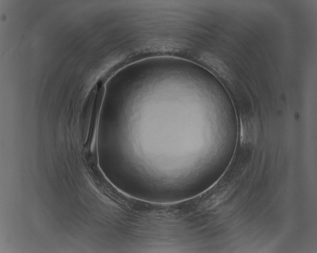 X0000068760627200605011002