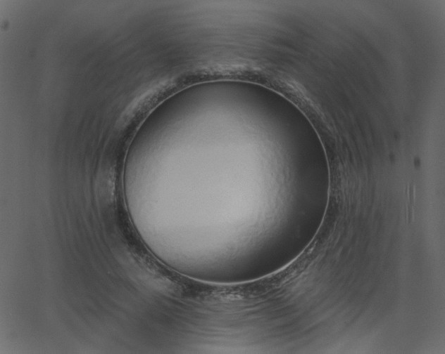 X0000068760640200605011002