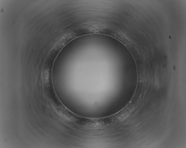 X0000068760646200605011003