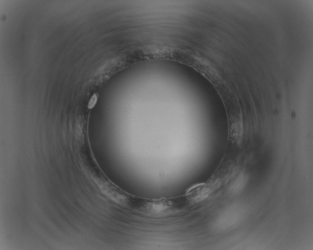 X0000068760662200605011003