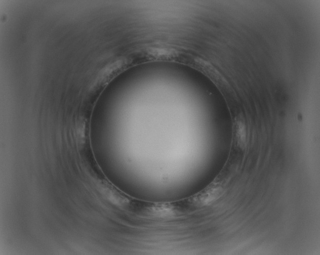 X0000068760668200605011003