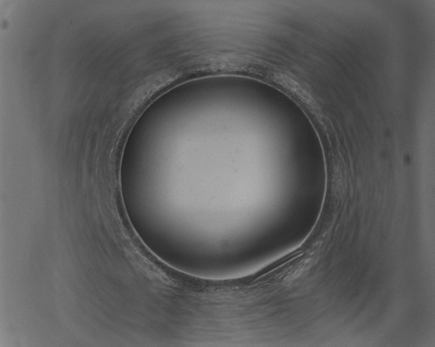 X0000068760673200605011002