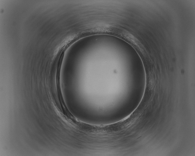 X0000068760677200605011002