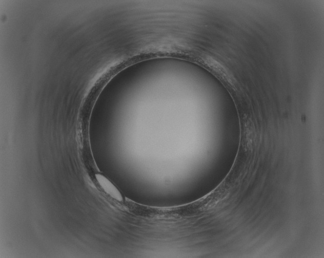 X0000068760680200605011002