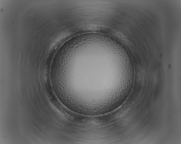 X0000068760683200605011002