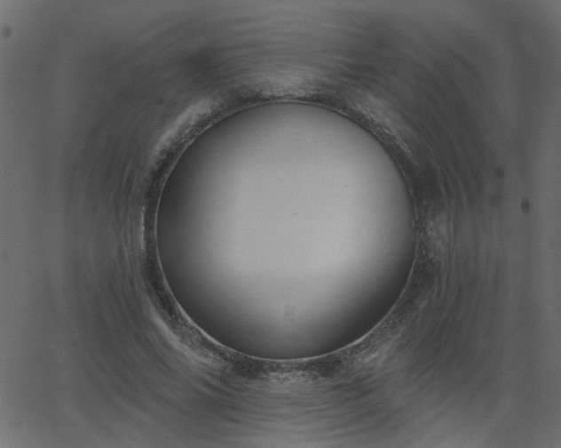 X0000068760686200605011002