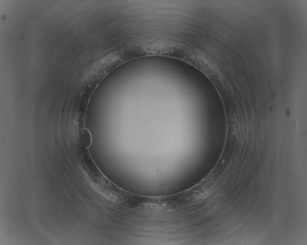 X0000068760690200605011002