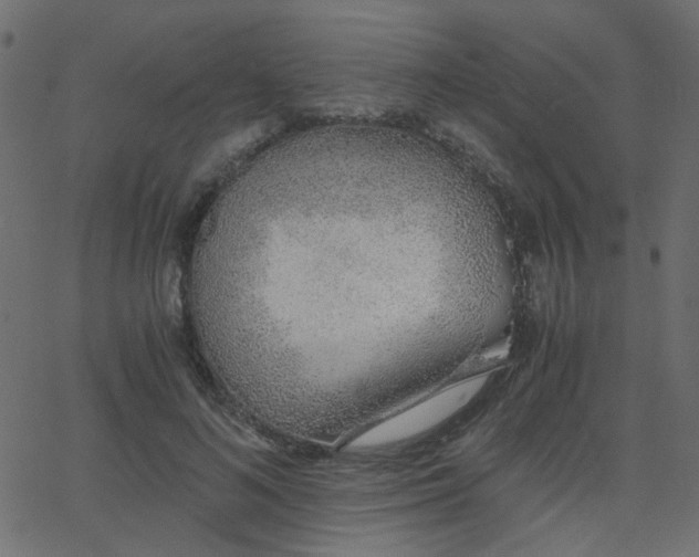 X0000068760692200605011002