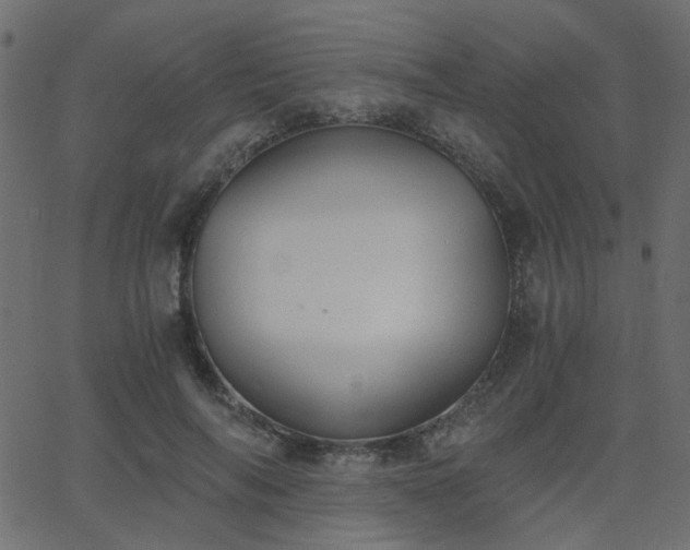 X0000068760694200605011002