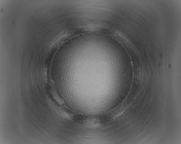 X0000068760696200605011002