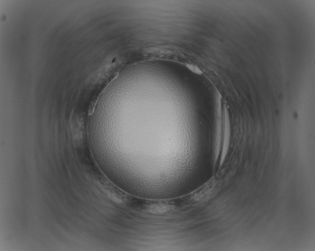 X0000068760708200605011002