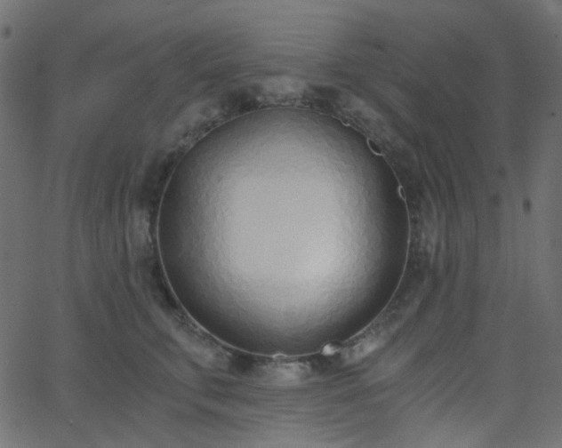 X0000068760711200605011002