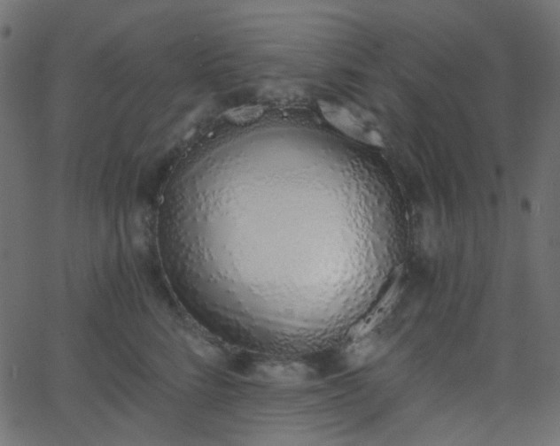 X0000068760712200605011002